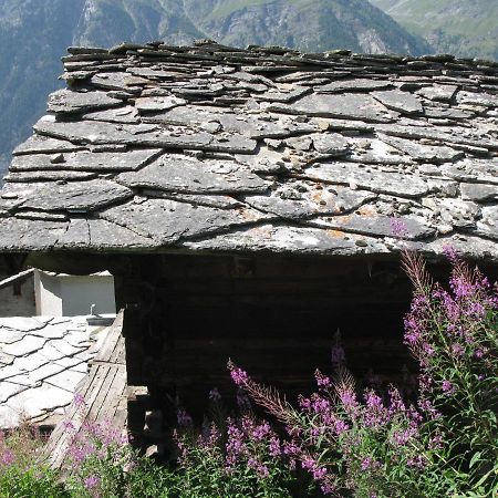 Alpia 26 - Zwei Zimmerwohnung In Traditionellem Walliser Haus Gasenried Kültér fotó