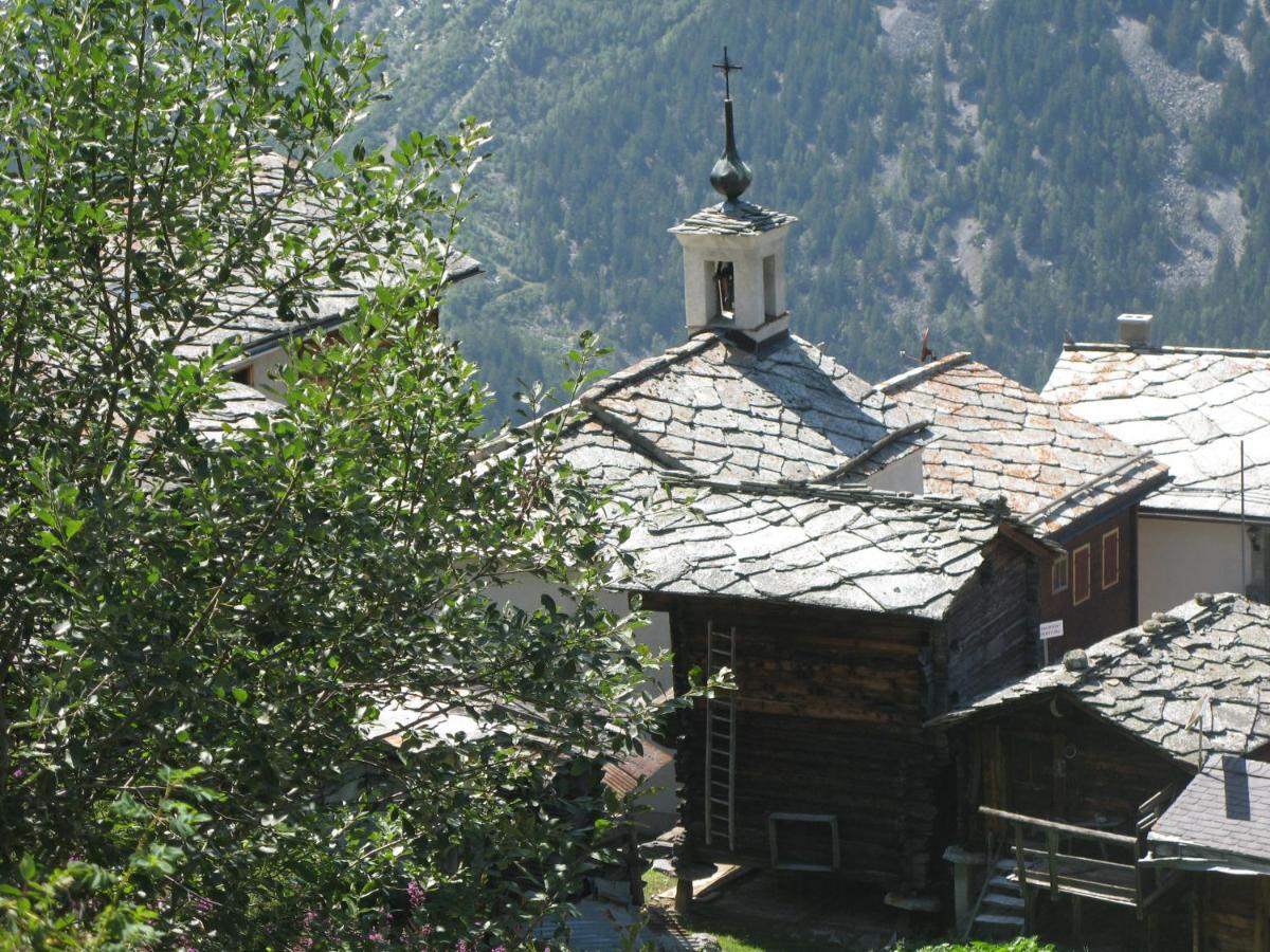 Alpia 26 - Zwei Zimmerwohnung In Traditionellem Walliser Haus Gasenried Kültér fotó